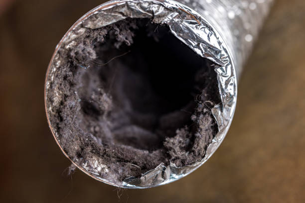 Best Local Air Duct Cleaning Services  in Cave Spring, VA